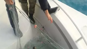 Van Gölü'nde Kullanımı Yasak 700 Metrelik Misina Ağı Ele Geçirildi