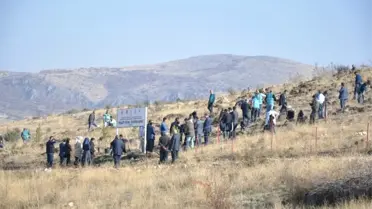 Denetimli Serbestlik Hükümlüleri Fidan Dikti