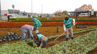 106 Bin Ağaç Toprakla Buluşuyor