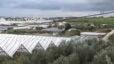 Naylon Seralar Yırtıldı, Pek Çok Seranın Camları Kırıldı