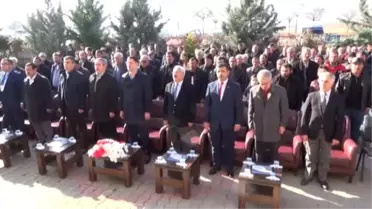 Çiftçilere Damızlık Koç Desteği