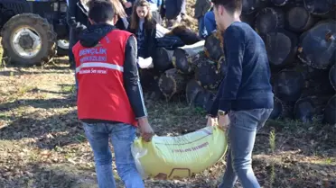 Üreten Gençlik Oldular, Tarlaya Buğday Ektiler