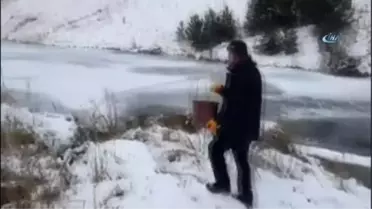 Donan Ördek Gölü'nde Sıkışan Ördeklere Yem Desteği