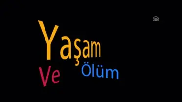 Polis Çocuklarından 'Emniyet Kemeri' Mesajı
