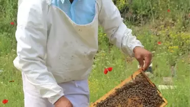 Arı Yetiştiricileri Birliği Başkanı Özdemir'den Arıcılara Uyarı