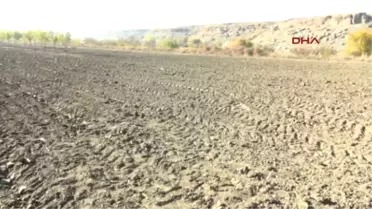 Siirt 18 Yıl Kaldığı İngiltere'den Gelip Siirt'te Sarımsak Ekimine Başladı