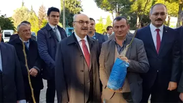 Aydın'da 9 Bin Adet Meyve Fidanı Toprakla Buluşacak