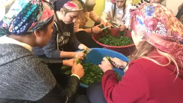 Toprak Ana Günü Beyler Köyü'nde Kutlandı