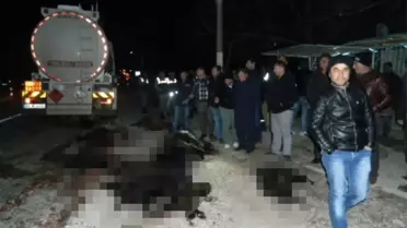 Tanker Sürüye Daldı: Çoban Öldü !