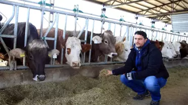 ABD'den Memleketine Dönüp Çiftlik Kurdu, Günlük 10 bin Ton Süt Üretiyor