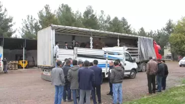 Kulp'ta 2 Bin 575 Adet Ceviz Fidanı Dağıtıldı