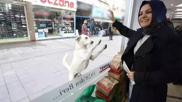 Patisiyle Tıklıyor, Yemeğini Kapıyor