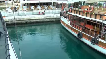 Antalya Akdeniz Foku 'Murtaza' Yat Limanı'nda Görüldü