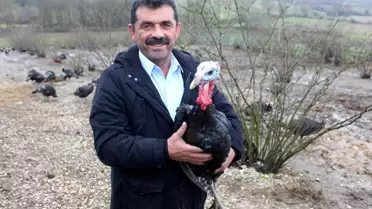Kandıra Hindisi Sofraları Süsleyecek