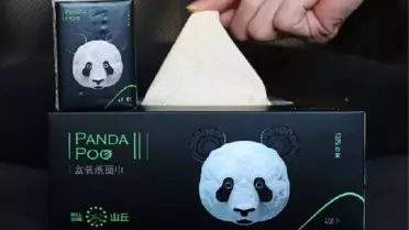 Çin'de Panda Kakasından Tuvalet Kağıdı Üretilecek