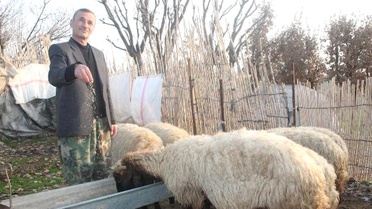 Silopi'de Yayla Yasağının Kalkması Sevindirdi