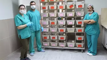 'Perga' Bilimsel Çalışma ile Kapsüle Dönüştü