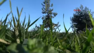 Kocaeli Fatih Sultan'ın Otağının Erzincan Eğitim ve Kültür Vakfı'na Verilmesine Tepki