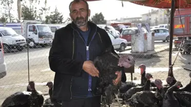 Hindi Satışları Yüzleri Güldürdü