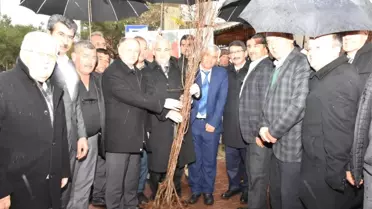 Şehzadeler'de 85 Çiftçiye 7 Bin Fidan Desteği