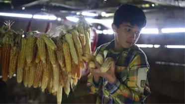 Kısa Film 'Darı'ya Ödül