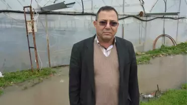 Muğla'da Narenciye Bahçesi ve Seralar Sular Altında Kaldı