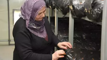 Mersin Büyükşehir Belediyesi'nden Üreticiye Destek