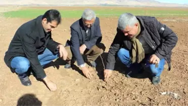 Türkiye Son 44 Yılın En Kurak Kışını Yaşıyor! Tohumlar Tarlada Çürüdü