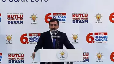 AK Parti Bingöl 6. Olağan İl Kongresi