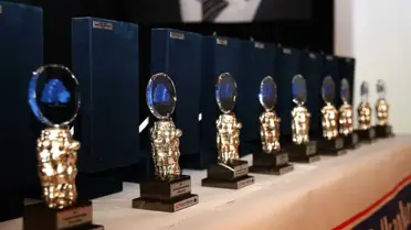 2017 Yılının En İyilerine, Mavi Çınar Ödülü