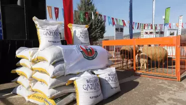 400 Çiftçiye 200 Ton Koyun Süt Yemi Dağıtıldı