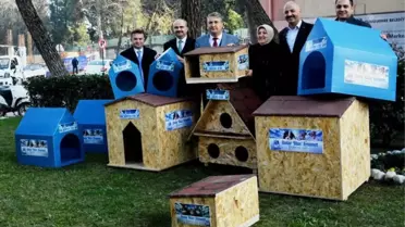 Yunusemre'deki Sokak Hayvanları Kış Aylarında Üşümeyecek
