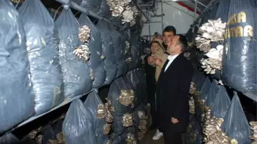Mudanyalı Genç Çiftçilere Destek