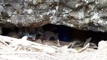 Osmaniye'de PKK'ye Ait 4 Erzak ve Mühimmat Deposu Ele Geçirildi