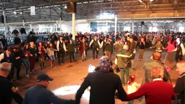 2 Ton Hamsi Yarım Saate Bitti