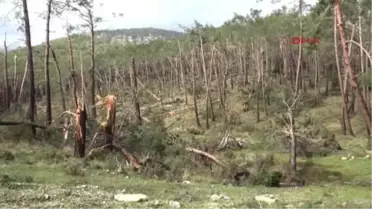 Antalya'da Fırtına Yıktı Geçti, Alt Geçitler Suyla Doldu