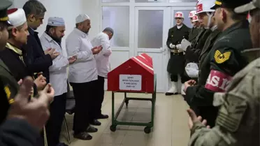 Güncelleme - Zeytin Dalı Harekatı