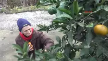 Rize Arılı Vadisi'nde, 'Derelerin Anası' Nöbet Tutuyor