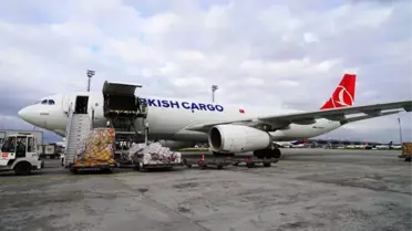 Turkish Cargo Çin'e Penguen ve Aslan Taşıdı