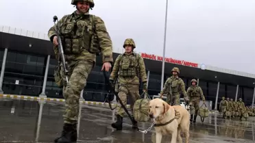 Mayın Arama Köpeği 'Ayevi' Afrin'de Mehmetçik'in Gözü Olacak