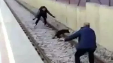 Metroda Köpek Kurtarma Operasyonu