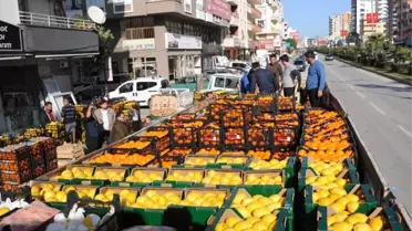 Mehmetçiğe Narenciye Desteği