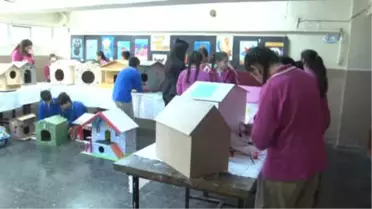 Babalar Mobilyacı, Çocuklar Hayvansever