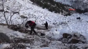 Gümüşhane Kamyonet 250 Metrelik Uçuruma Yuvarlandı