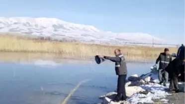 2 Şubat Dünya Sulak Alanlar Günü