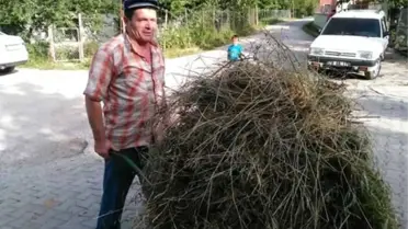 Orman İşçilerini Taşıyan Kamyon Devrildi: 2 Ölü, 12 Yaralı