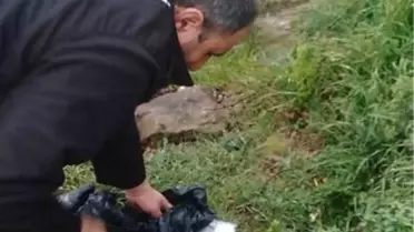 Karayolunda Ezilmek Üzere Olan Martıyı Belediye İşçisi Kurtardı