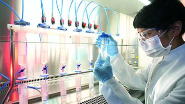 Laboratuvarda Büyütülen İlk İnsan Yumurtası Gelecekte Doğurganlığa Yardımcı Olabilir