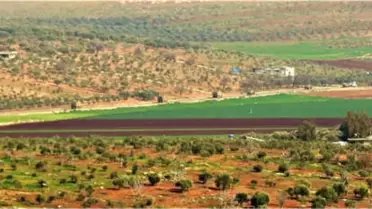 Reyhanlı'ya Askeri Takviye Sürüyor