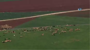 Reyhanlı'ya Askeri Takviye Sürüyor